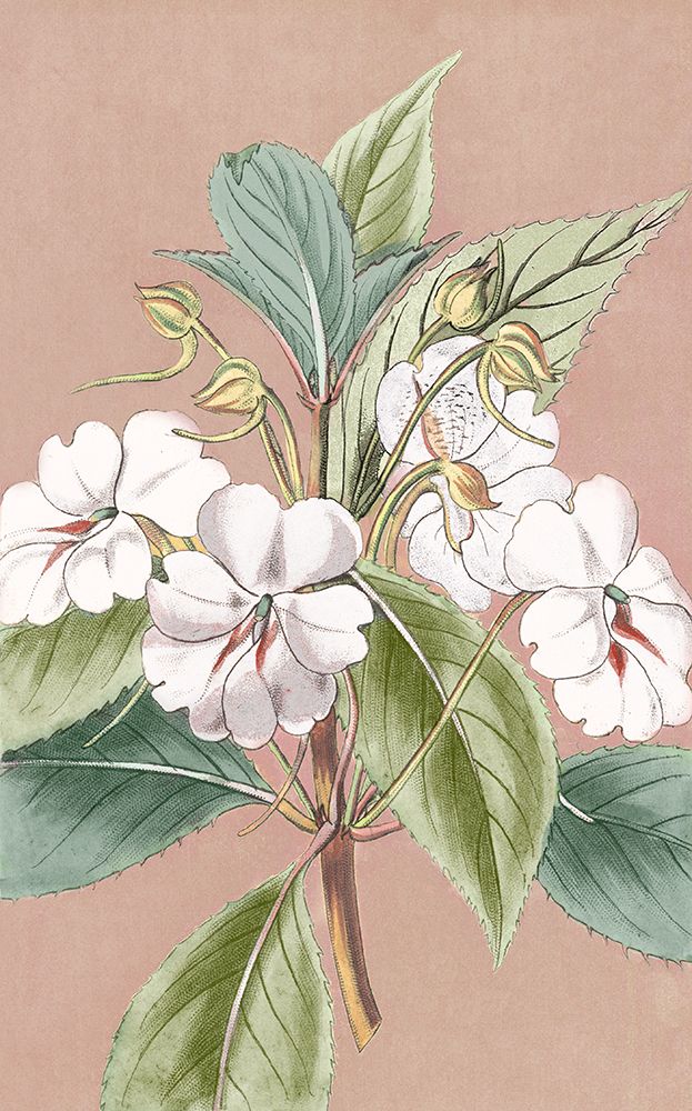 Sweet White Blooms I art print by PI Studio for $57.95 CAD