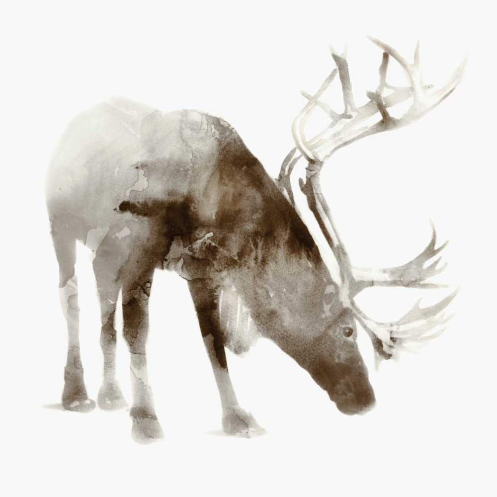 Caribou art print by Edward Selkirk for $57.95 CAD