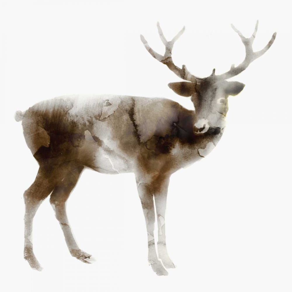 Stag art print by Edward Selkirk for $57.95 CAD
