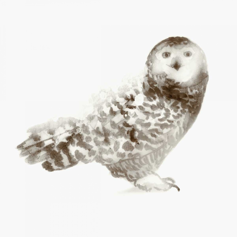 Owl art print by Edward Selkirk for $57.95 CAD
