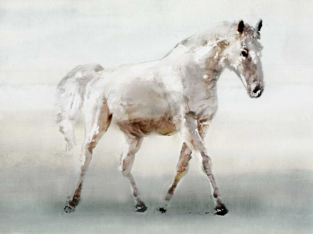 White Horse art print by Edward Selkirk for $57.95 CAD