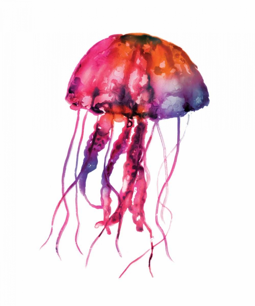 Multicolored Jellyfish art print by Edward Selkirk for $57.95 CAD