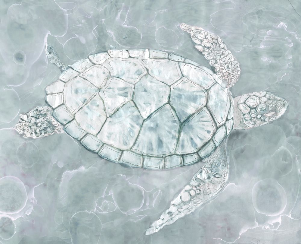 Sea TurtleÂ  art print by Stellar Design Studio  for $57.95 CAD