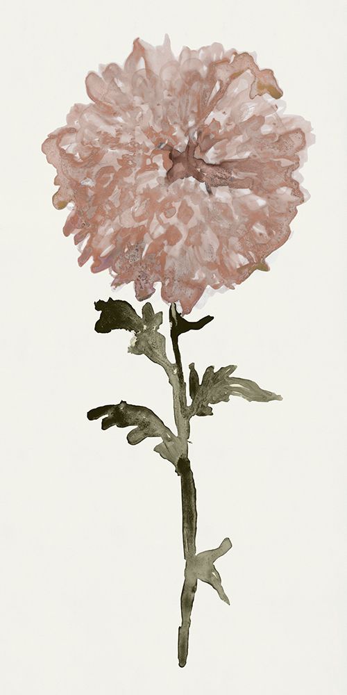 Flourishing Floral II art print by Stellar Design Studio for $57.95 CAD