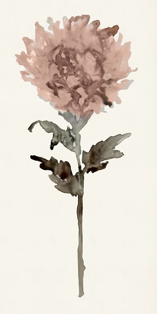 Flourishing Floral IV   art print by Stellar Design Studio  for $57.95 CAD