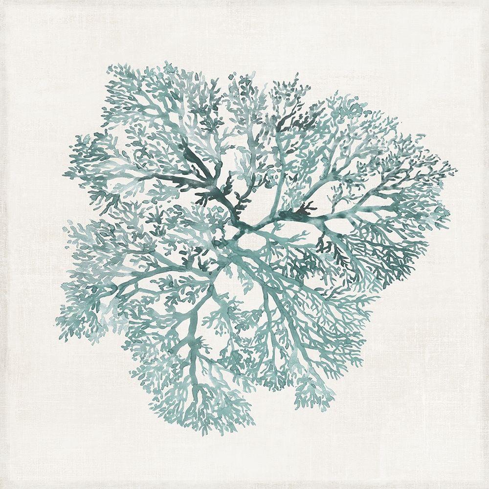 Teal Coral I  art print by Aimee Wilson for $57.95 CAD