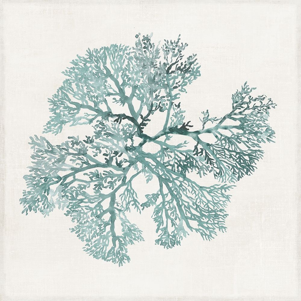 Teal Coral II art print by Aimee Wilson for $57.95 CAD