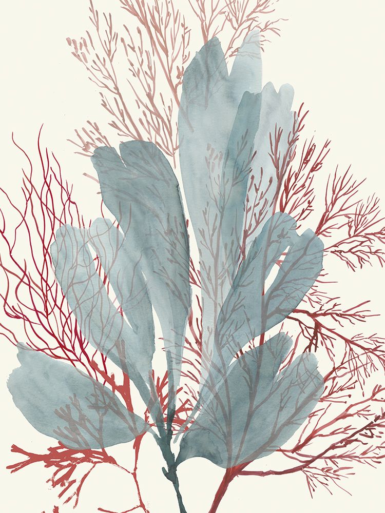 Seaweed Swirls I art print by Aimee Wilson for $57.95 CAD