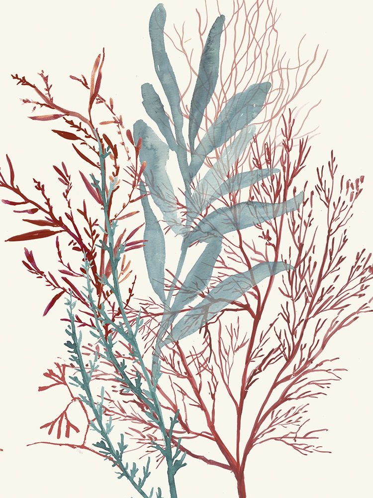 Seaweed Swirls II art print by Aimee Wilson for $57.95 CAD