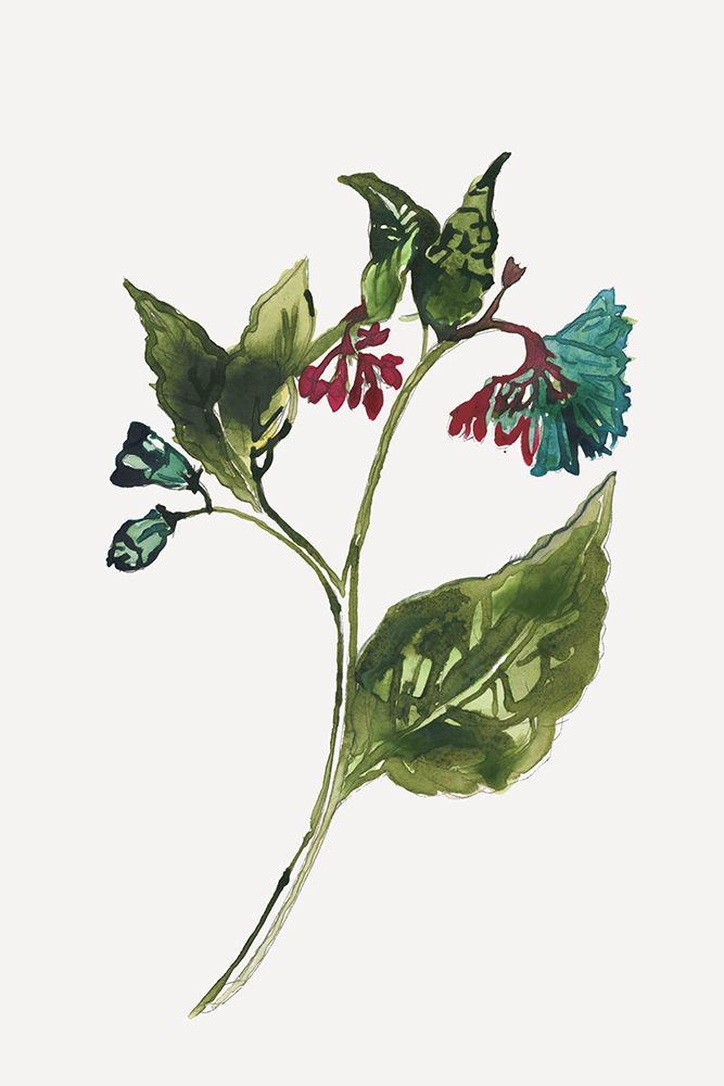 Botany III art print by Cartissi for $57.95 CAD