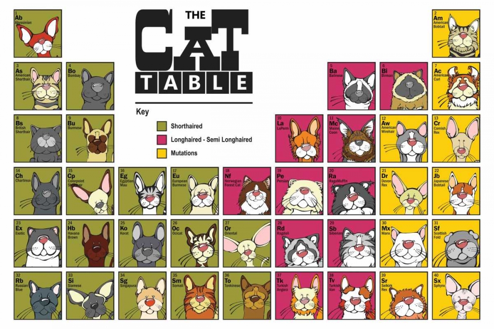 The Cat Table art print by Angry Squirrel Studio for $57.95 CAD