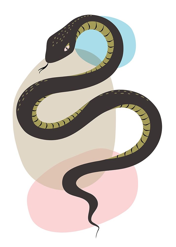Snake art print by Ayse for $57.95 CAD