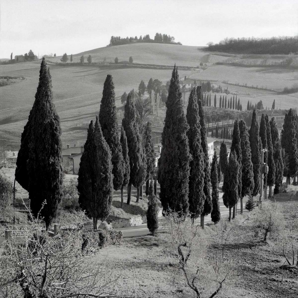 Tuscany - 4 art print by Alan Blaustein for $57.95 CAD
