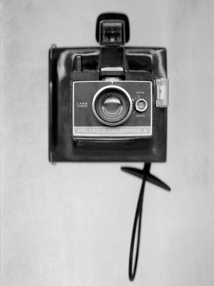 Retro Point and Shoot - 5 art print by Alan Blaustein for $57.95 CAD