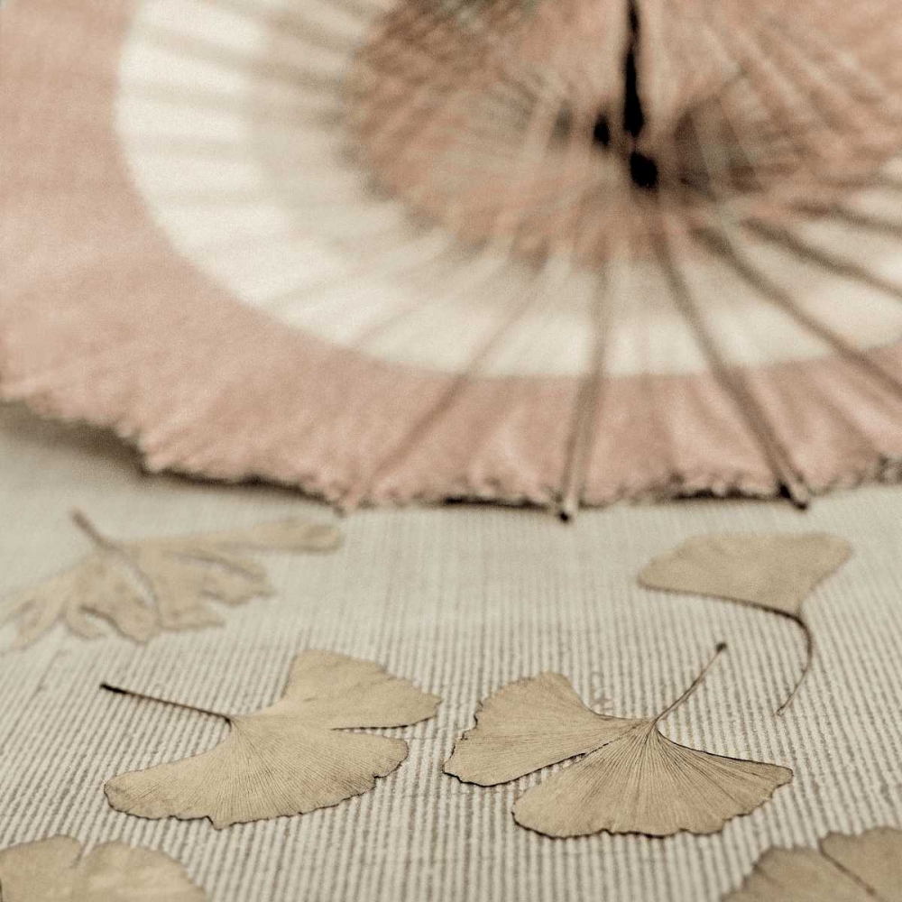 Parasol and Gingko - 2 art print by Alan Blaustein for $57.95 CAD