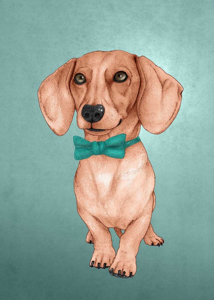 The Wiener Dog art print by Barruf for $57.95 CAD