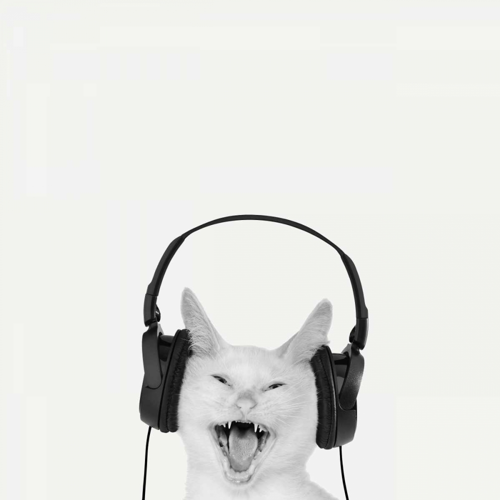 Rockin Kitten art print by Jon Bertelli for $57.95 CAD