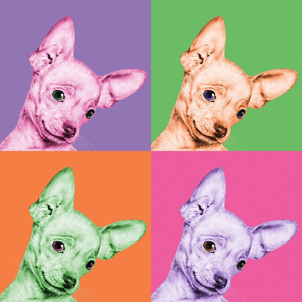 Sweet Chihuahua Pop art print by Jon Bertelli for $57.95 CAD