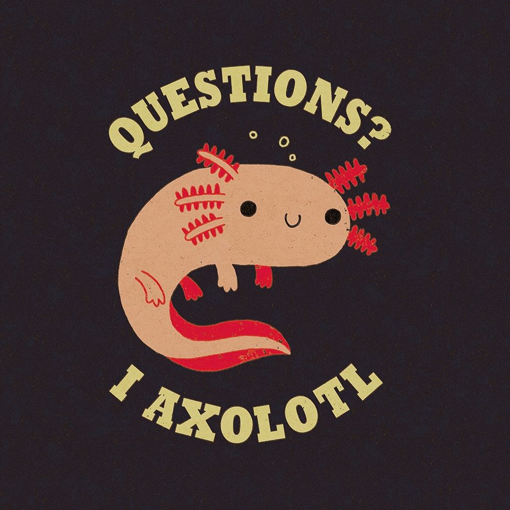 Axolotl Questions art print by Michael Buxton for $57.95 CAD