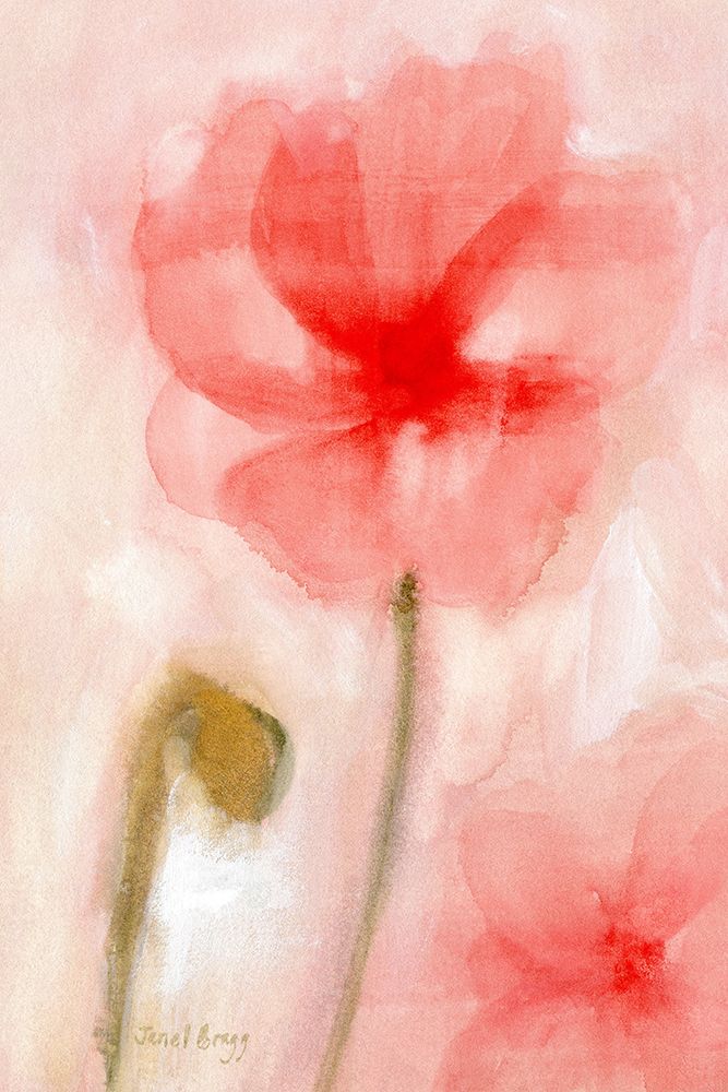 Floral Impression in Coral I art print by Janel Bragg for $57.95 CAD