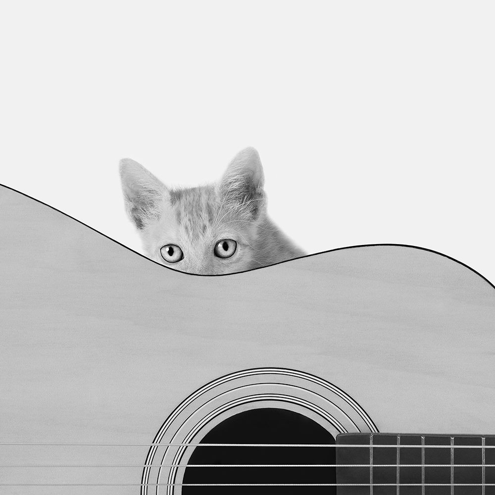 Whiskers and Strings art print by Jon Bertelli for $57.95 CAD