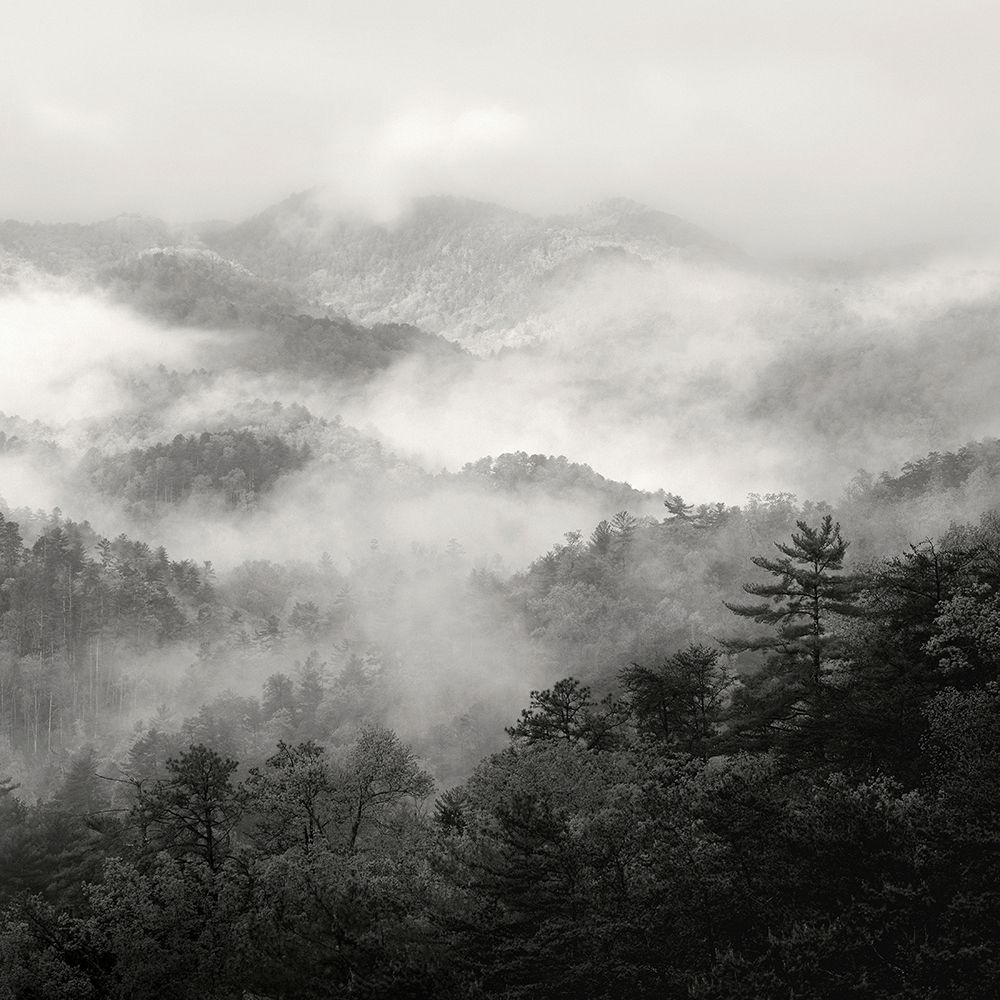 Spring Mist, Smoky Mountains art print by Nicholas Bell for $57.95 CAD