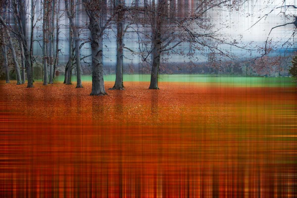 Abstract Autumn art print by Hannes Cmarits for $57.95 CAD