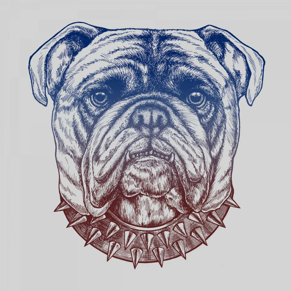 Gritty Bulldog art print by Rachel Caldwell for $57.95 CAD