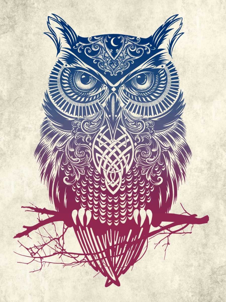 Warrior Owl art print by Rachel Caldwell for $57.95 CAD