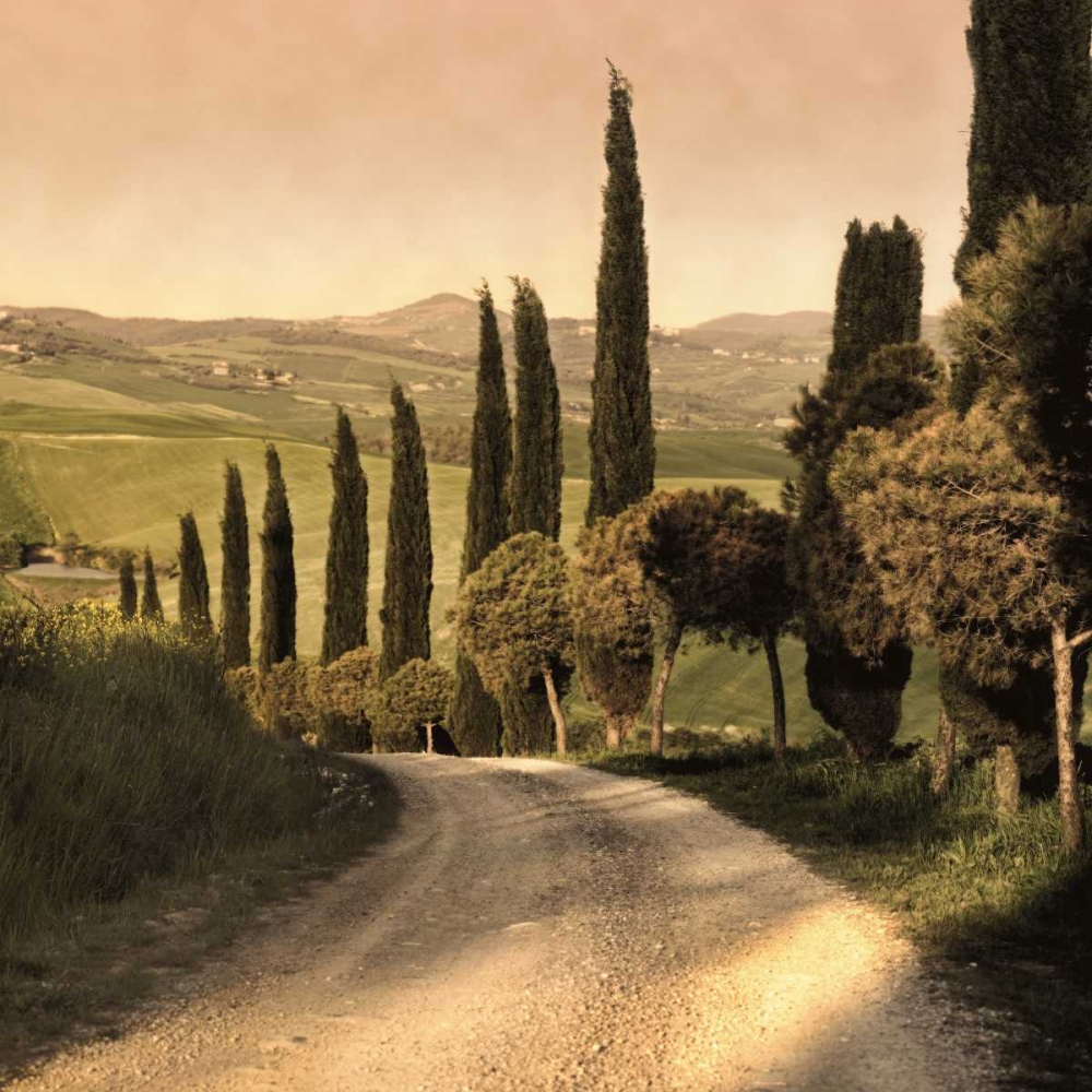 Country Lane Tuscany art print by Elizabeth Carmel for $57.95 CAD