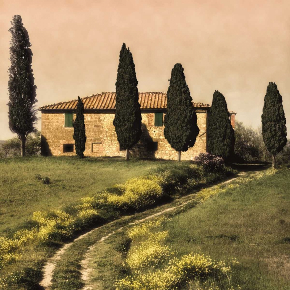 Tuscan Farmhouse art print by Elizabeth Carmel for $57.95 CAD