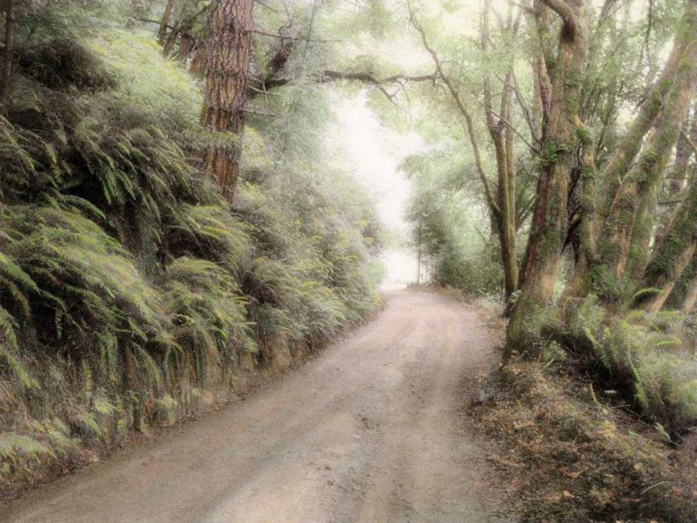 Lost Coast Road art print by Laura Culver for $57.95 CAD