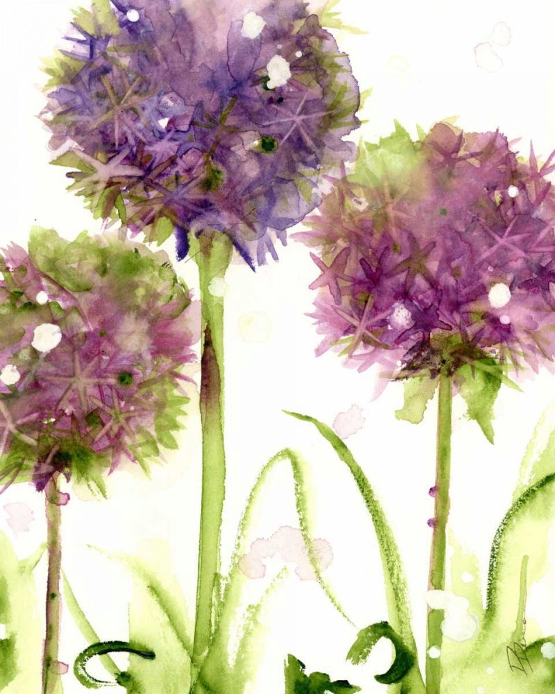 Alliums art print by Dawn Derman for $57.95 CAD
