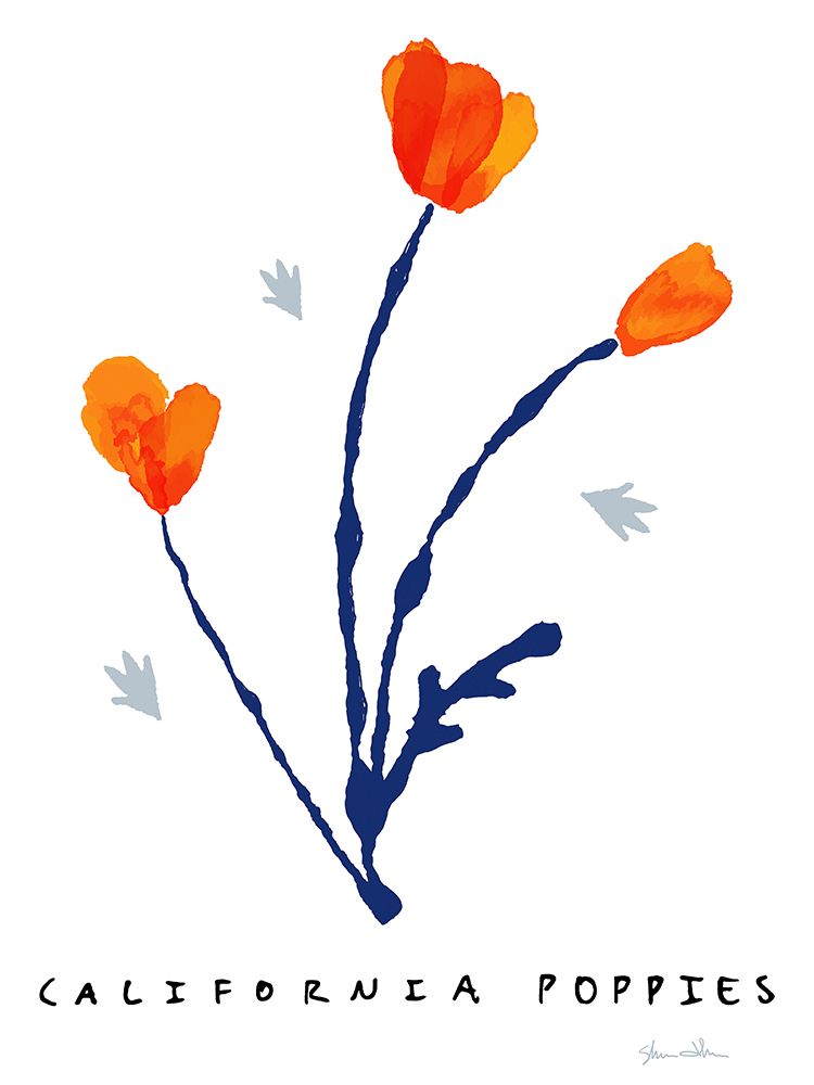 California Poppies art print by Shane Donahue for $57.95 CAD