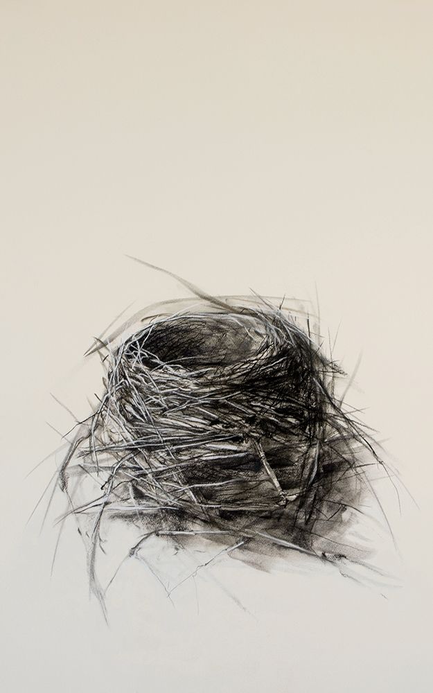 Fledged Nest art print by Kris Ekstrand for $57.95 CAD