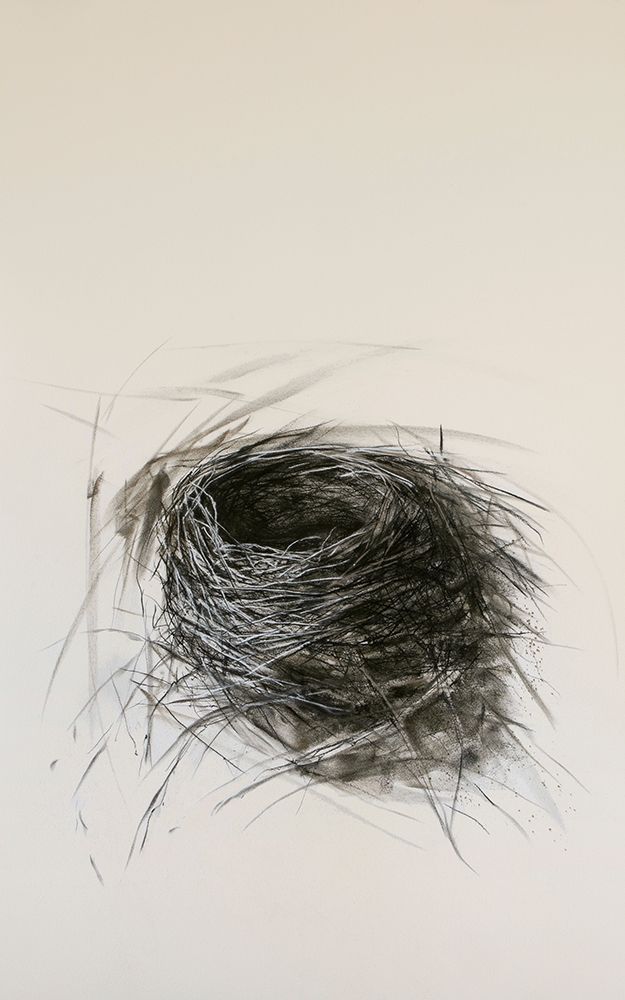 Habitat Nest art print by Kris Ekstrand for $57.95 CAD