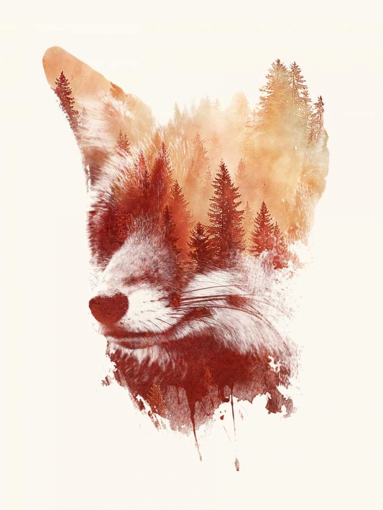 Blind Fox art print by Robert Farkas for $57.95 CAD
