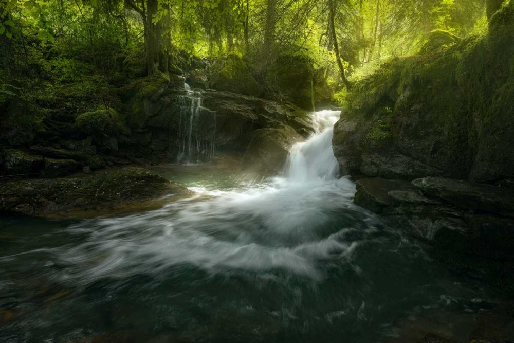 Stream of Life art print by Enrico Fossati for $57.95 CAD