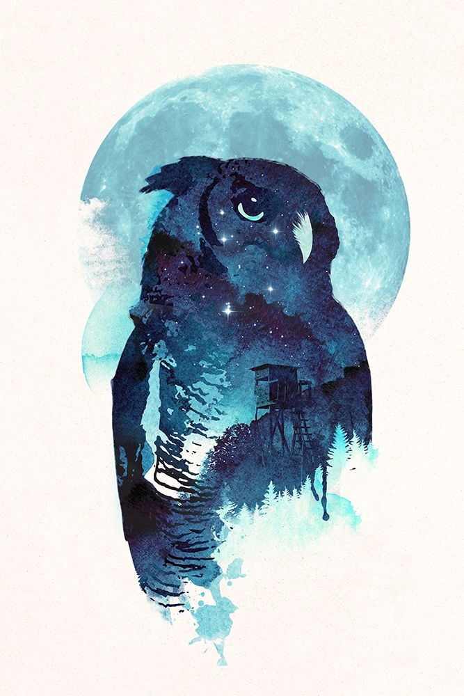 Midnight Owl art print by Robert Farkas for $57.95 CAD