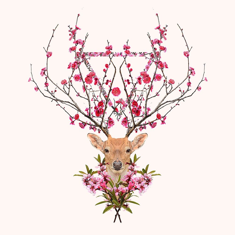 Spring Deer art print by Robert Farkas for $57.95 CAD