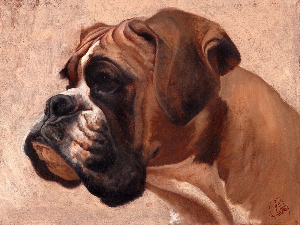 Boxer art print by Thomas Fluharty for $57.95 CAD