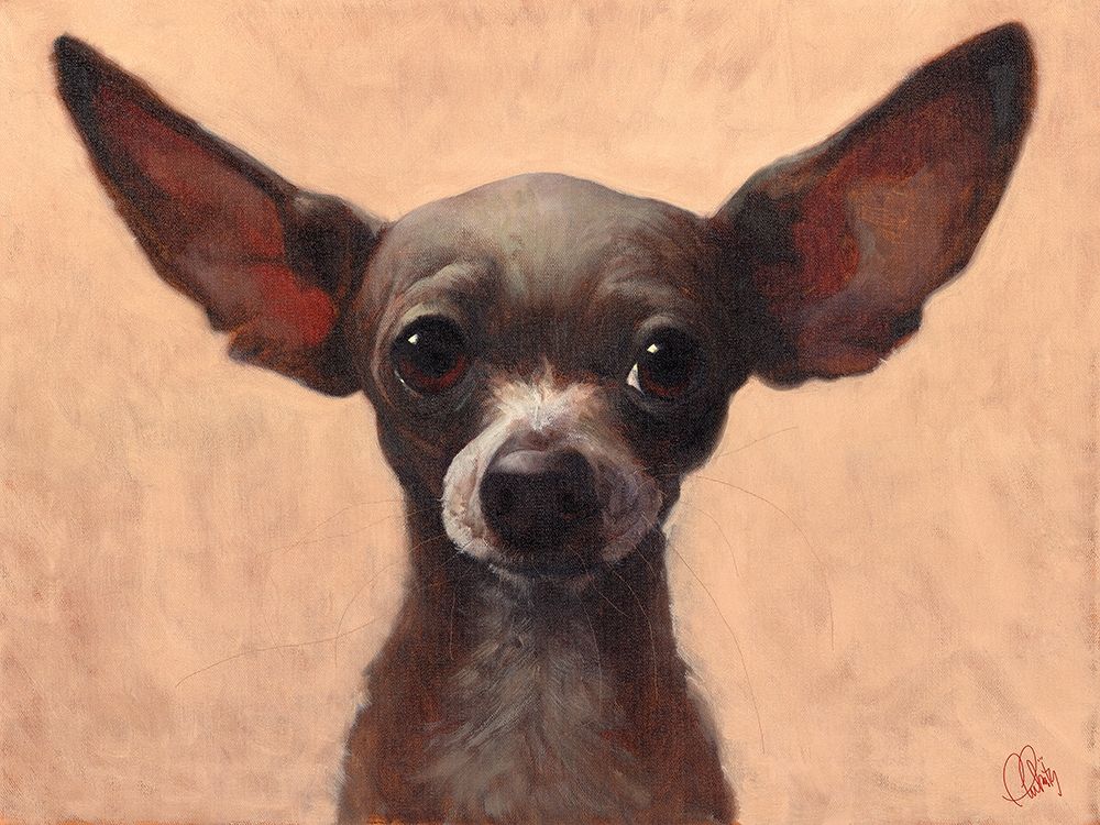 Chihuahua art print by Thomas Fluharty for $57.95 CAD