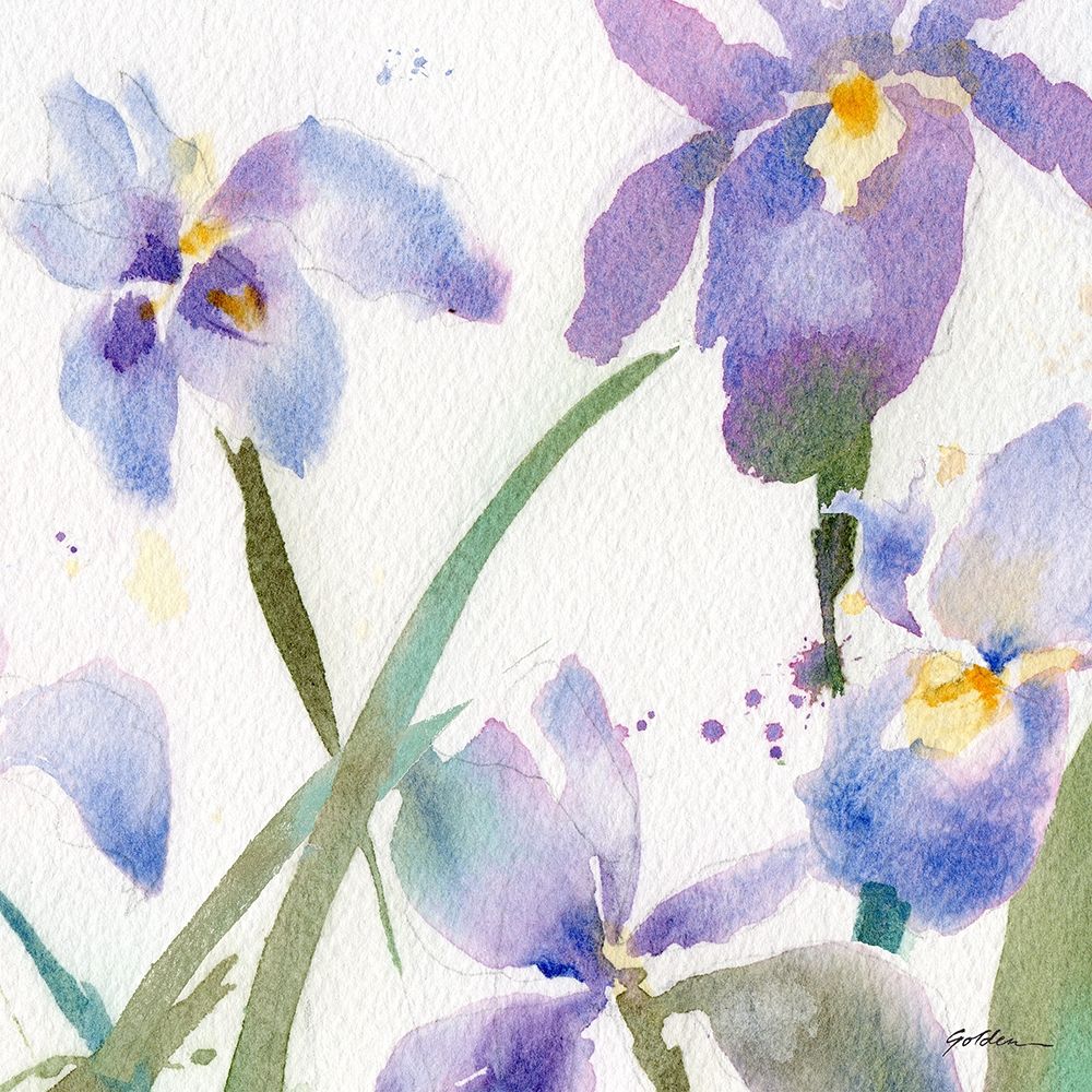 Irises art print by Sheila Golden for $57.95 CAD