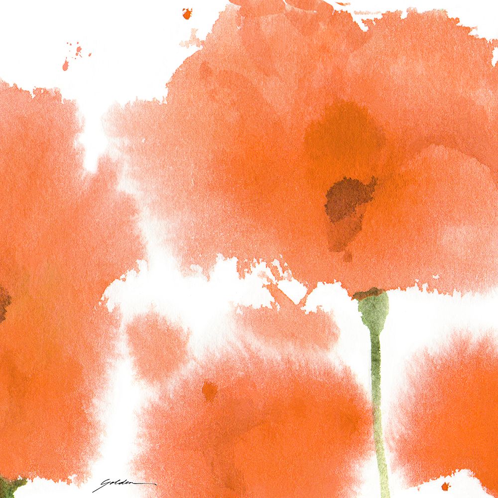 Red Orange Poppies art print by Sheila Golden for $57.95 CAD