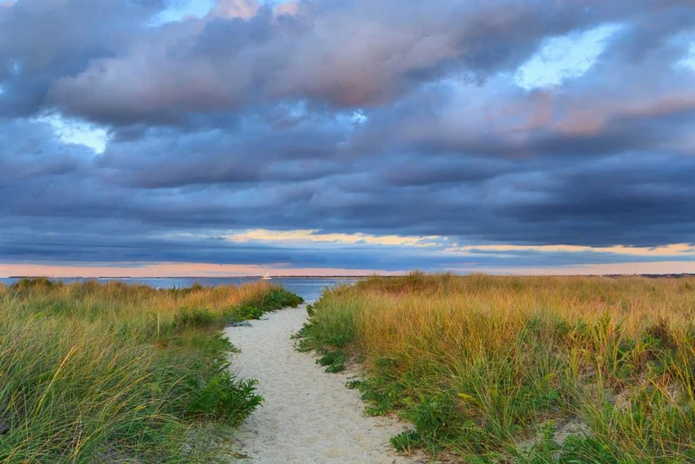 Jetties Beach Path art print by Katherine Gendreau for $57.95 CAD