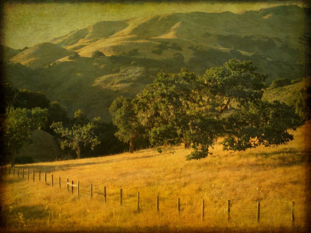 Oak and Fence art print by William Guion for $57.95 CAD