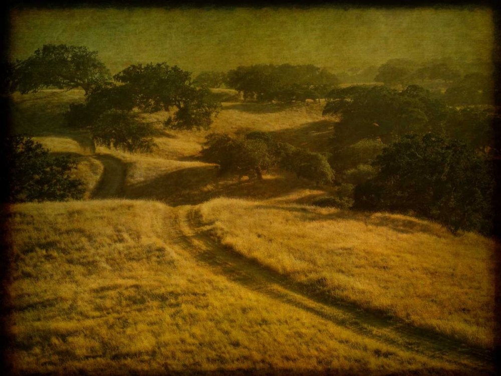 Ranch Road and Oak Savannah art print by William Guion for $57.95 CAD