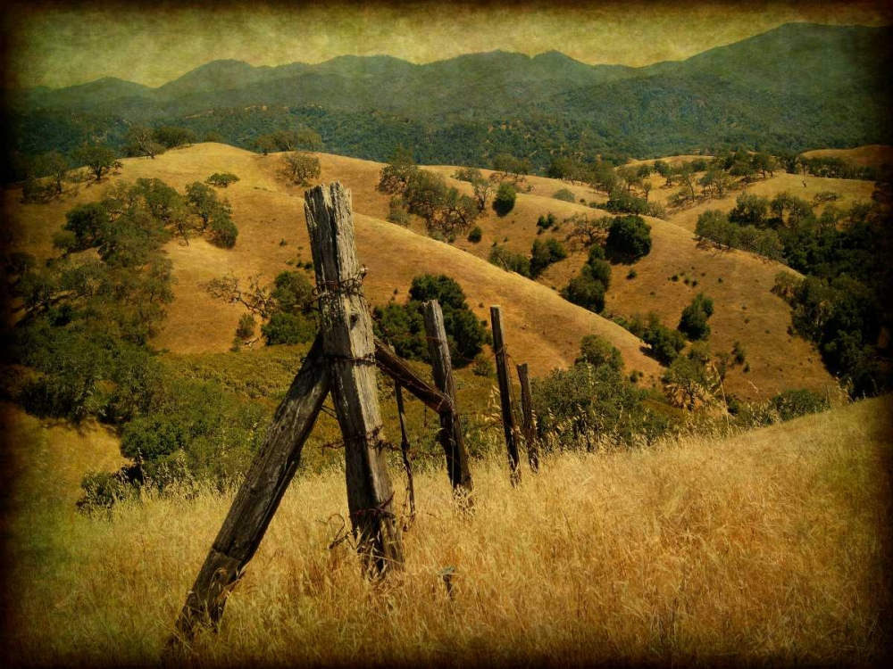Weathered Ranch Fence art print by William Guion for $57.95 CAD