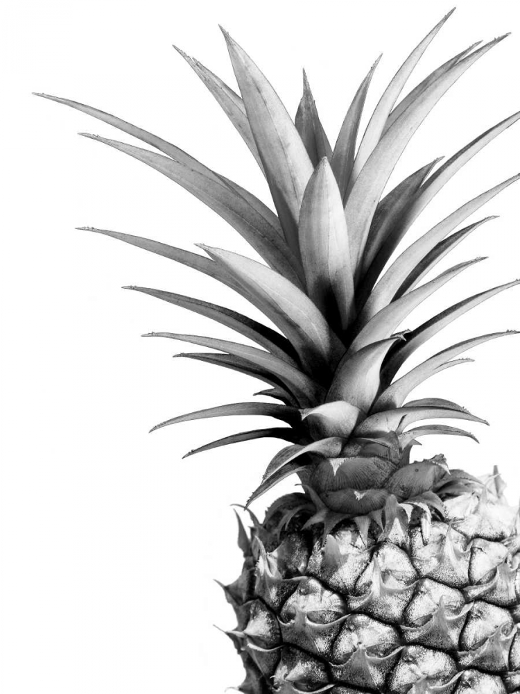 Pineapple - BW art print by Lexie Greer for $57.95 CAD