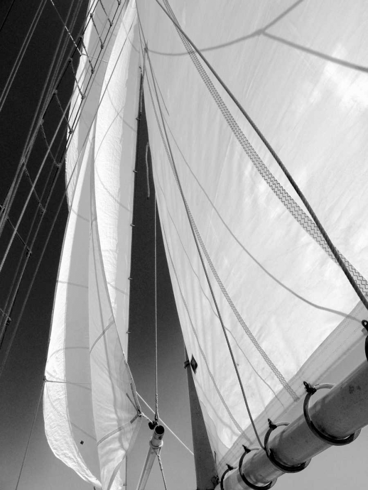 Sailboat Sails Florida art print by Winthrope Hiers for $57.95 CAD
